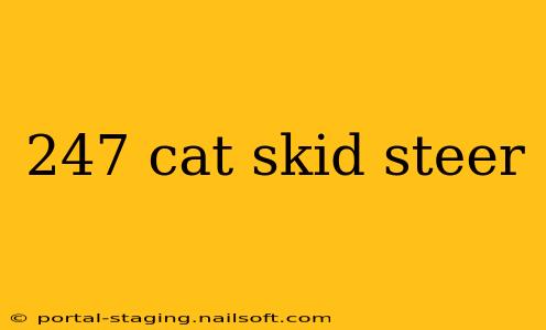 247 cat skid steer