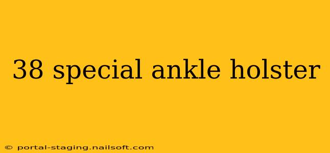 38 special ankle holster