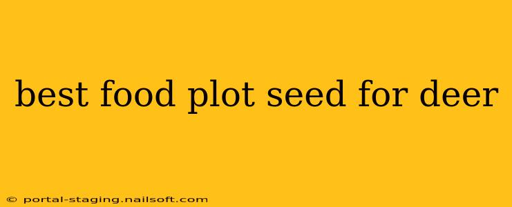 best food plot seed for deer