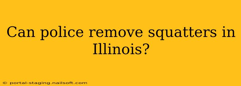 Can police remove squatters in Illinois?
