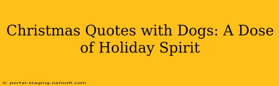 Christmas Quotes with Dogs: A Dose of Holiday Spirit