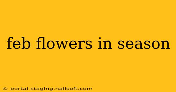 feb flowers in season
