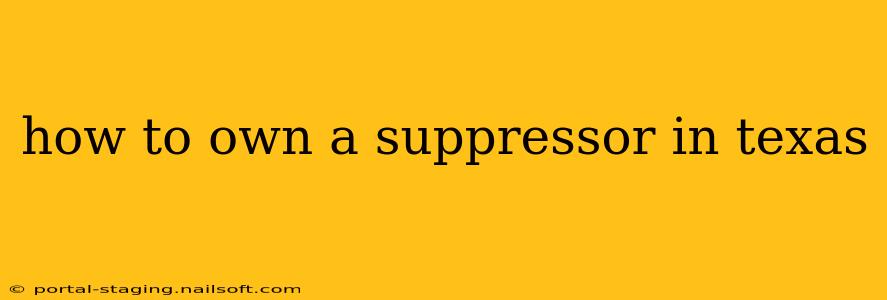 how to own a suppressor in texas