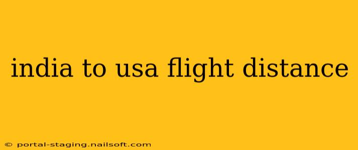 india to usa flight distance