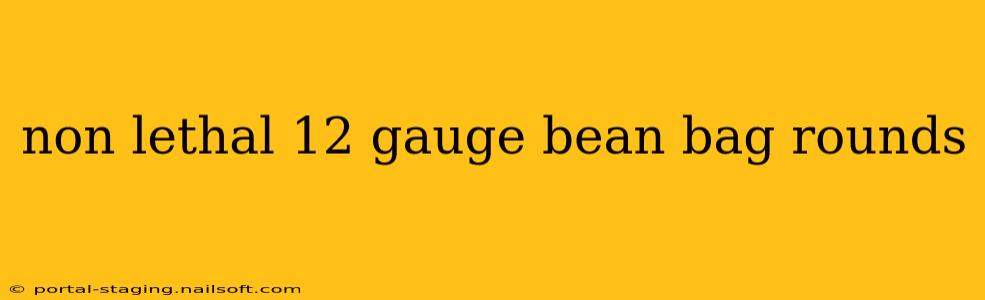non lethal 12 gauge bean bag rounds