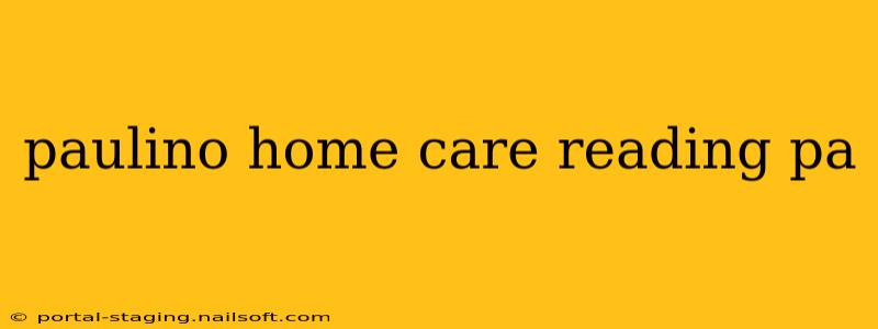 paulino home care reading pa