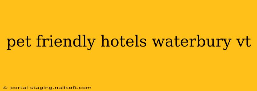 pet friendly hotels waterbury vt
