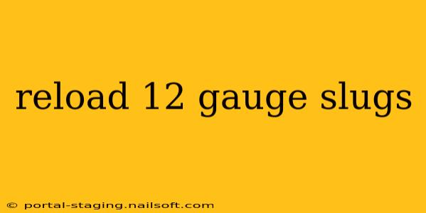 reload 12 gauge slugs