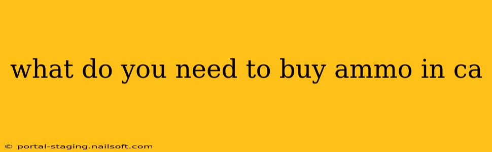 what do you need to buy ammo in ca