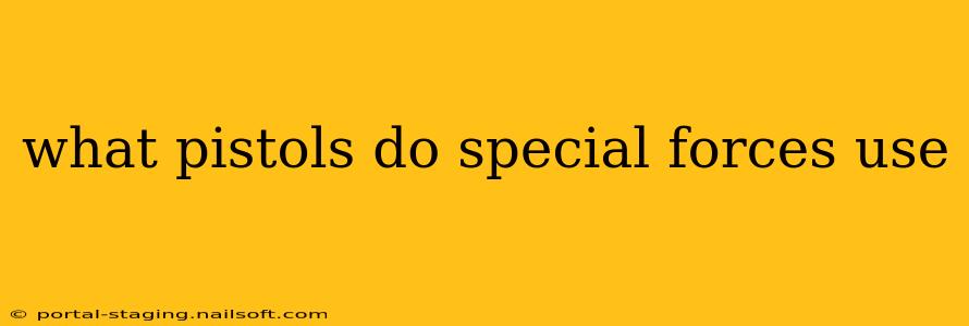 what pistols do special forces use